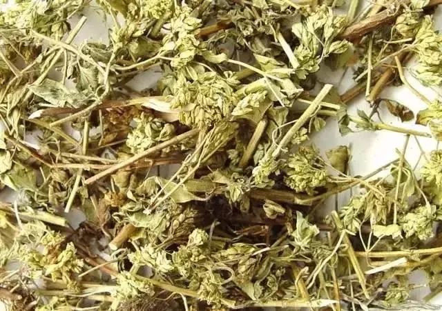 连吃三天大餐胃口都没了,连吃了三天大餐能补救吗