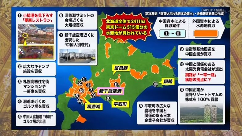 日本本土的奢侈品包包,日本的奢侈品包包