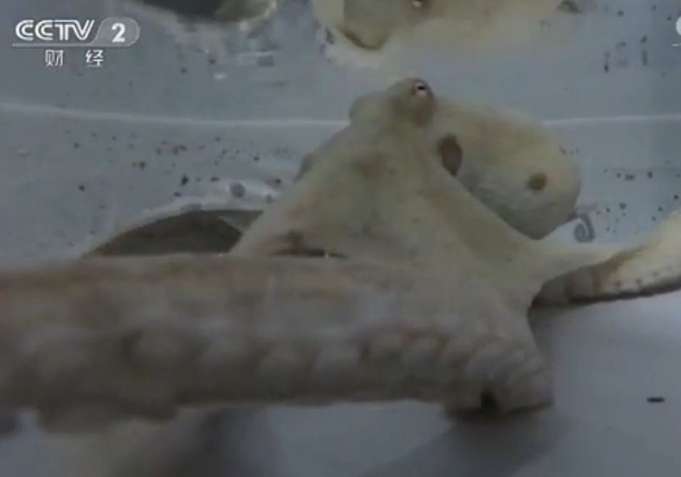 这40个冷知识据说只有1%的人知道 (古代100个绝对颠覆你认知的冷知识)