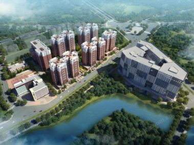 《TOP30在广州》｜央企远洋