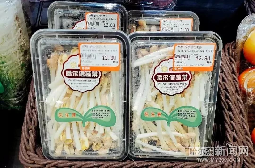 冰城新型芽苗菜,花生芽萝卜苗豌豆苗成餐桌新宠