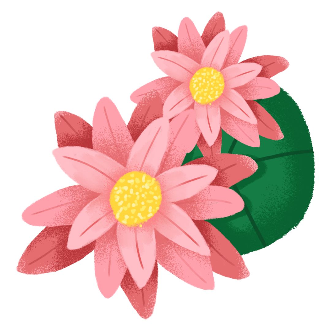 如何知道知网的文献是不是免费的,怎么知道知网哪些论文免费