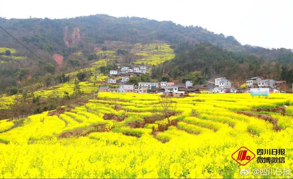 绵阳直达宜宾高铁车次,绵阳到宜宾高铁开通时间