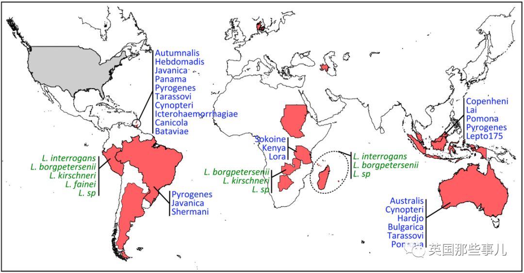又双叒叕被世界地图漏掉！委屈巴巴的新西兰人民简直心累！