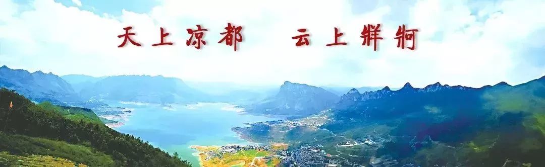 凉都六枝特区,凉都草根新闻联播