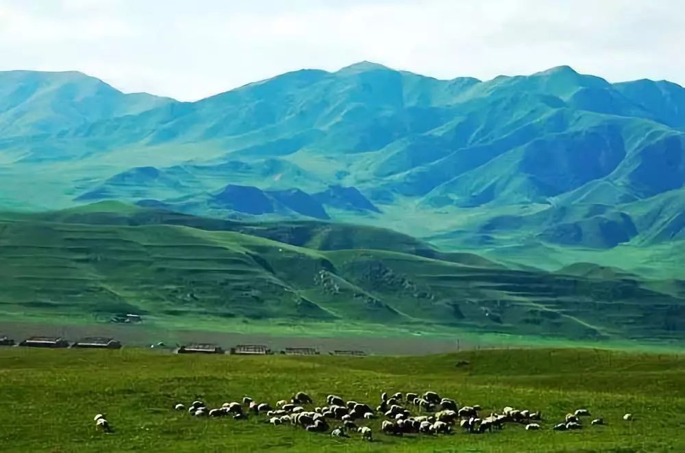 刷新你的世界观！国内最受欢迎的顶级野奢酒店，美到极点奢华到极致！享受质感生活，选这儿准没错！