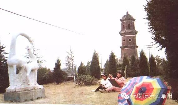 老照片100张阜阳三角洲,高清阜阳八十年代照片