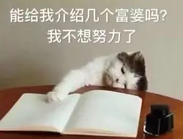 科普|每天轻抚你的面,碰触你的身体对Ta的要求应该高一些!