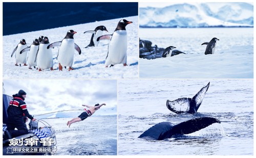 剑南春联合国之旅值多少钱,剑南春玉门答谢会