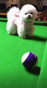 「信息快报」丽江纳美智造招人啦！还有一批岗位等你来