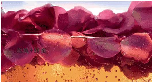 每天一杯白醋3天瘦1斤,连续一周喝蜂蜜加白醋水能瘦几斤