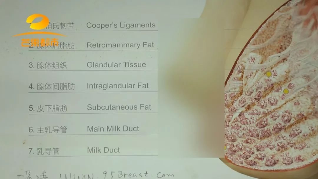 女生左胸左下角长了一个肿块,胸上长了瘤有点疼