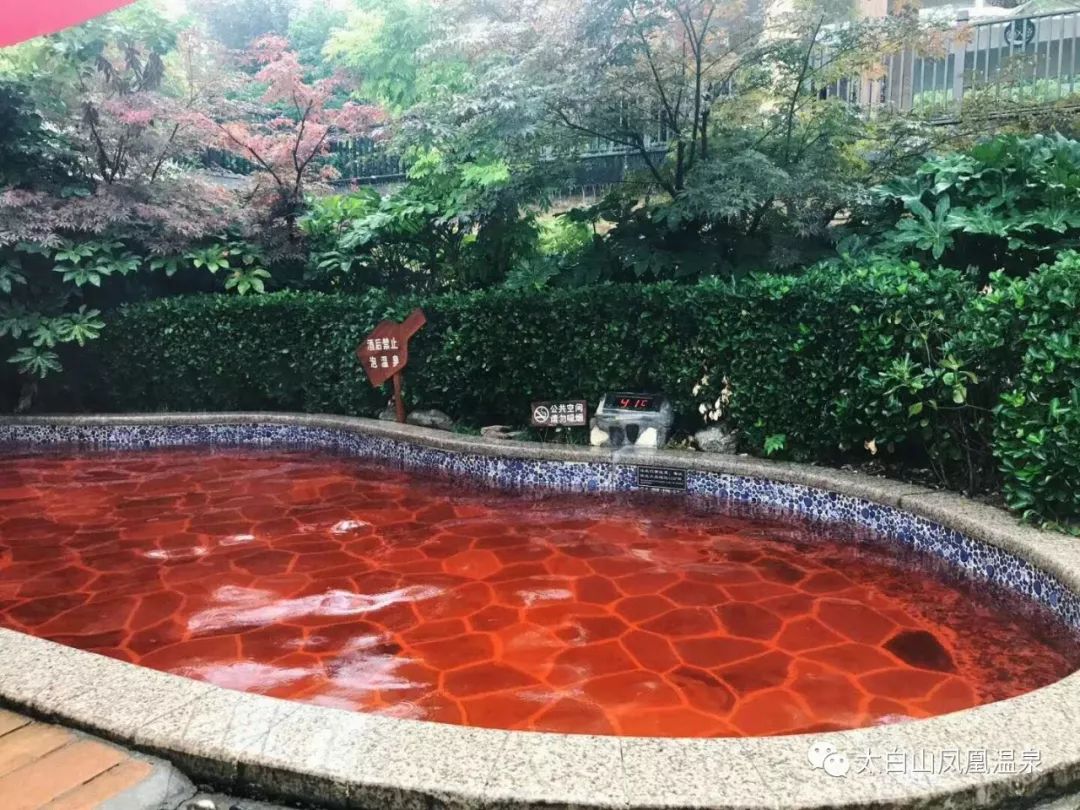 惊喜自助餐团购,太白山御龙湾温泉自助餐