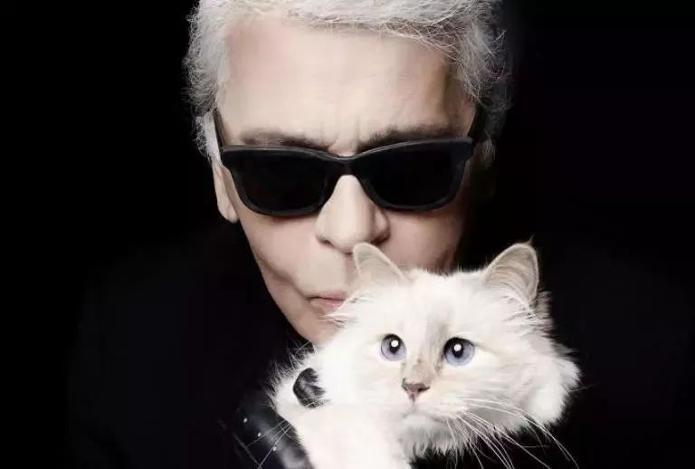 老佛爷的所有家产最后留给了猫 (老佛爷的猫死后谁来继承他的遗产)