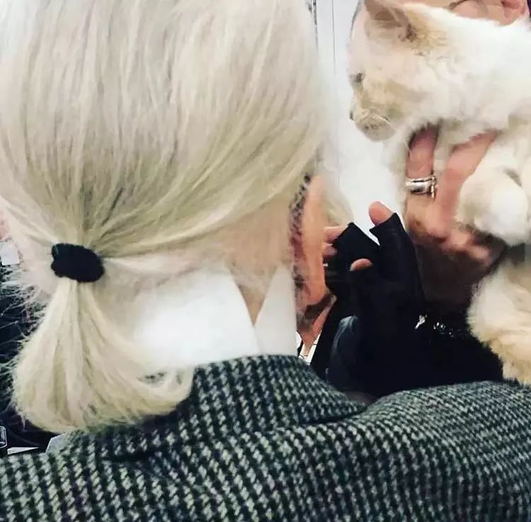 老佛爷的所有家产最后留给了猫 (老佛爷的猫死后谁来继承他的遗产)