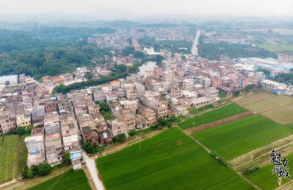 增城最新旧改项目,增城12个村改造名单