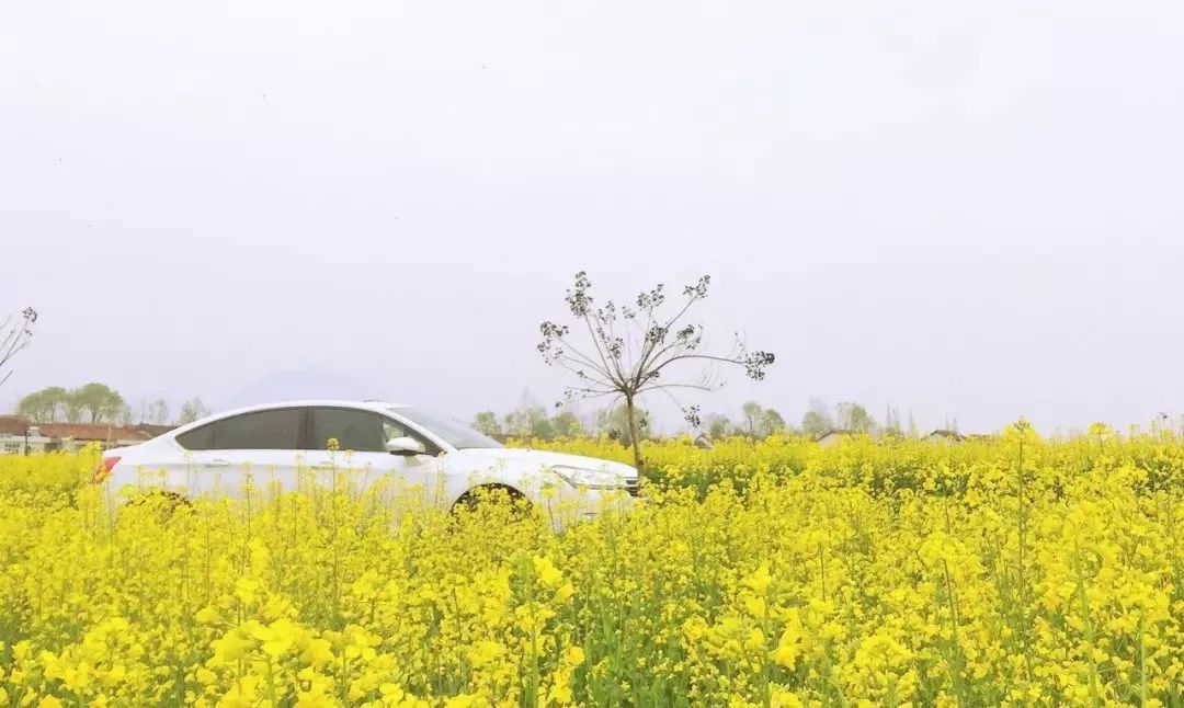 汉中这几天有啥好玩的,5月的汉中有哪些好玩的地方