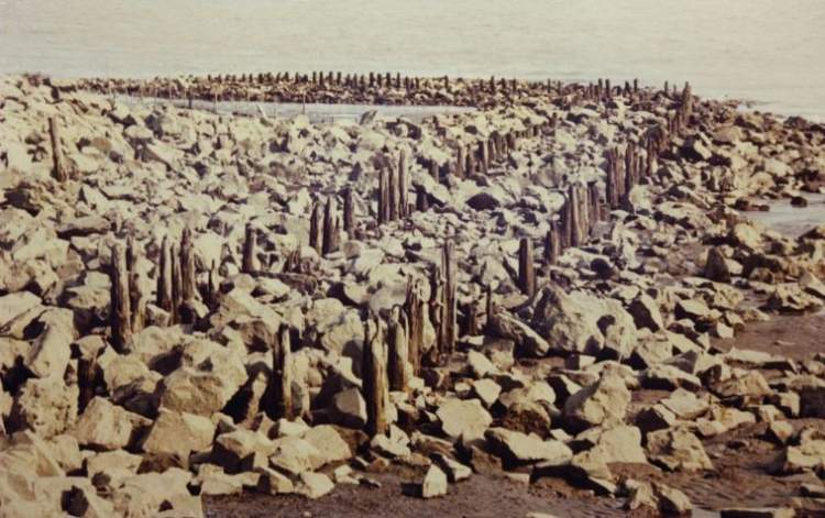 没和崇明岛上的这块“大石头”合过影，别说你到过崇明~