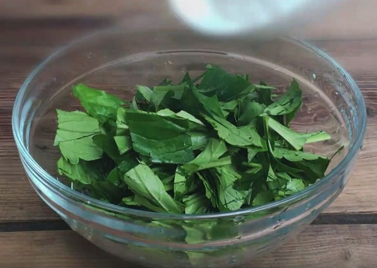 五种健康野菜常食养生,春天必吃的10大黄金野菜