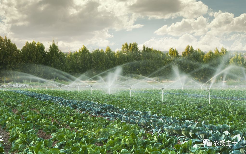 在狂投2.2亿之后,他终于想明白一件事……