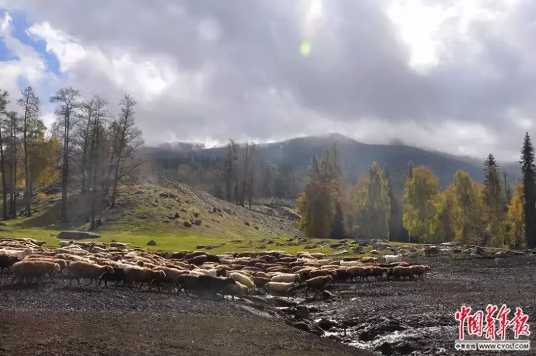 青年支教老师视频,支教老师千字长文