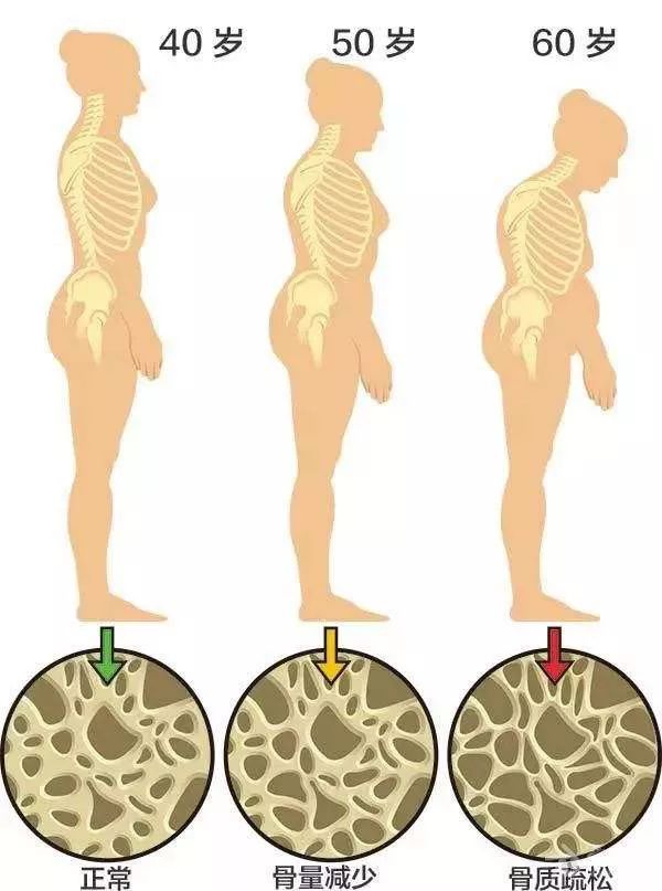 看什么病挂什么科一张表一目了然,生病挂什么科你知道吗