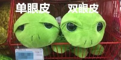 有人竟花1万给猫拉了双眼皮！网友炸锅：考虑过猫的感受吗？