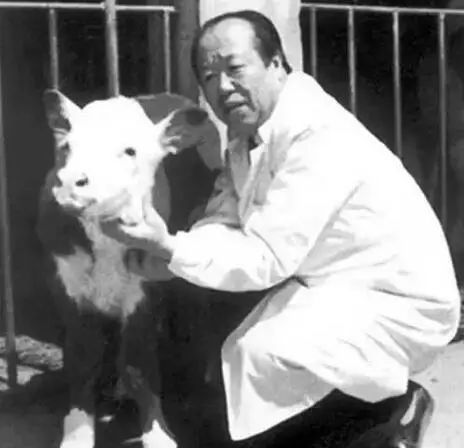 作为内蒙人,山羊这么牛的生物,竟然不了解?