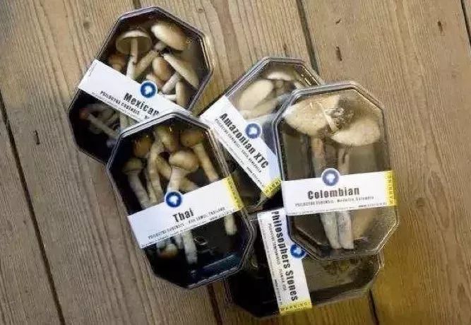 孩子家长当心新型毒品,家长一定要警惕这5个儿童毒物