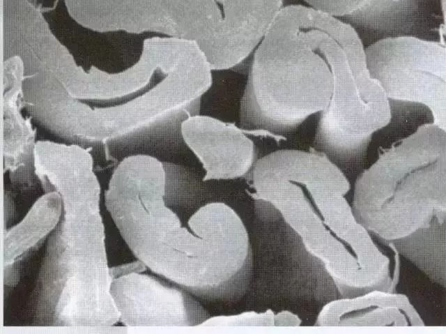 啥是丝光棉,丝光棉还有什么叫法