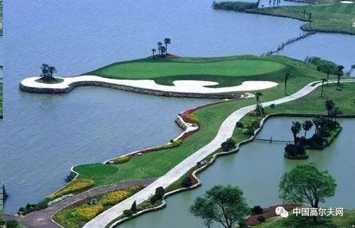 白球进入袋后怎么处理,进了白球怎么办