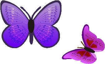 又到海螺望春花期，踏青赏花的可以约起了～