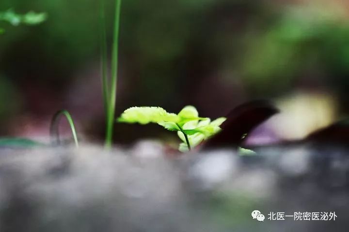 你的身价能值多少钱,你的身价是多少钱