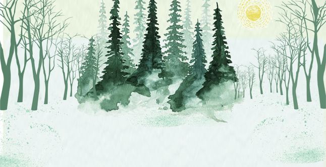 信州区师范定向生分数,江西上饶信州区2023定向生名额