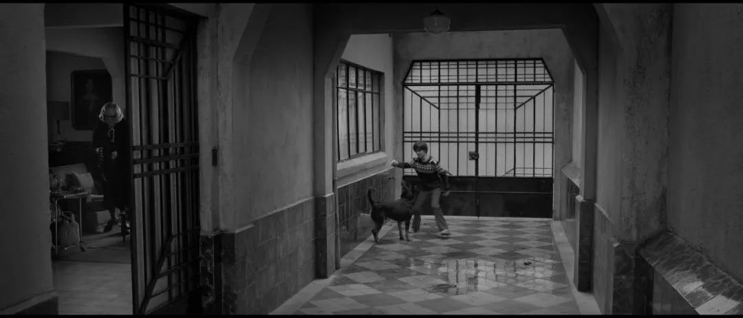 黑白摄影哪家强?回顾《罗马》《冷战》的奥斯卡之战!