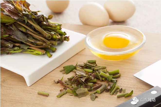 春天吃什么野菜补血最快,春天吃什么野菜下火最多