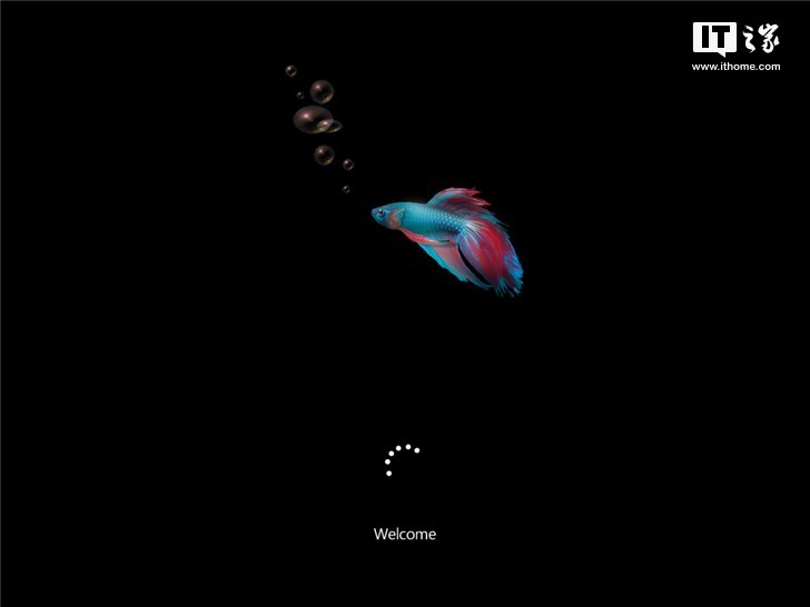 复活windows8,windows第八代