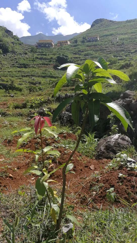 沈家沟村新农村建设,走进乡村振兴基地
