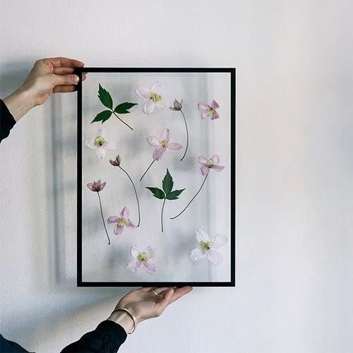 永生花diy手工,1700块的永生花