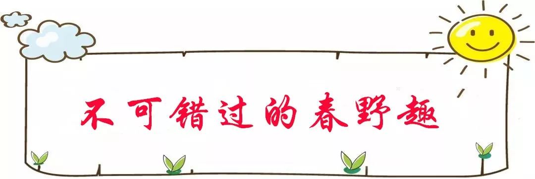 上海人春天爱吃的美食,春天上海最好吃的东西