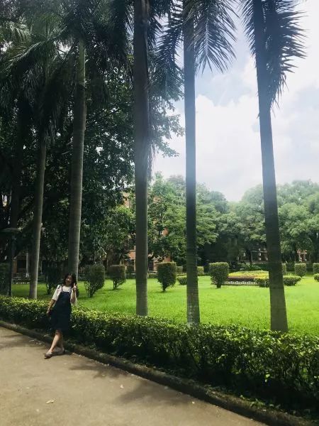 鐖变复娌傜綉涓绘挱,鐖变复娌傜綉涓绘挱鎺ㄤ粙