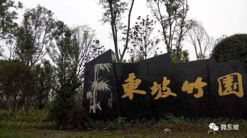 沿途看春天最美的风景,东马最值得去的景点