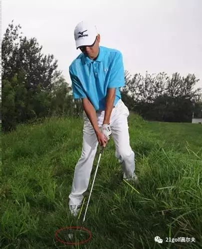 长草区教学,长草区攻略大全