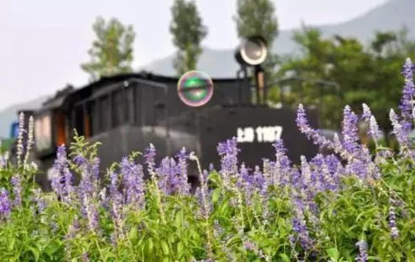 鹿泉网红打卡地免费,鹿泉太平河网红打卡圣地