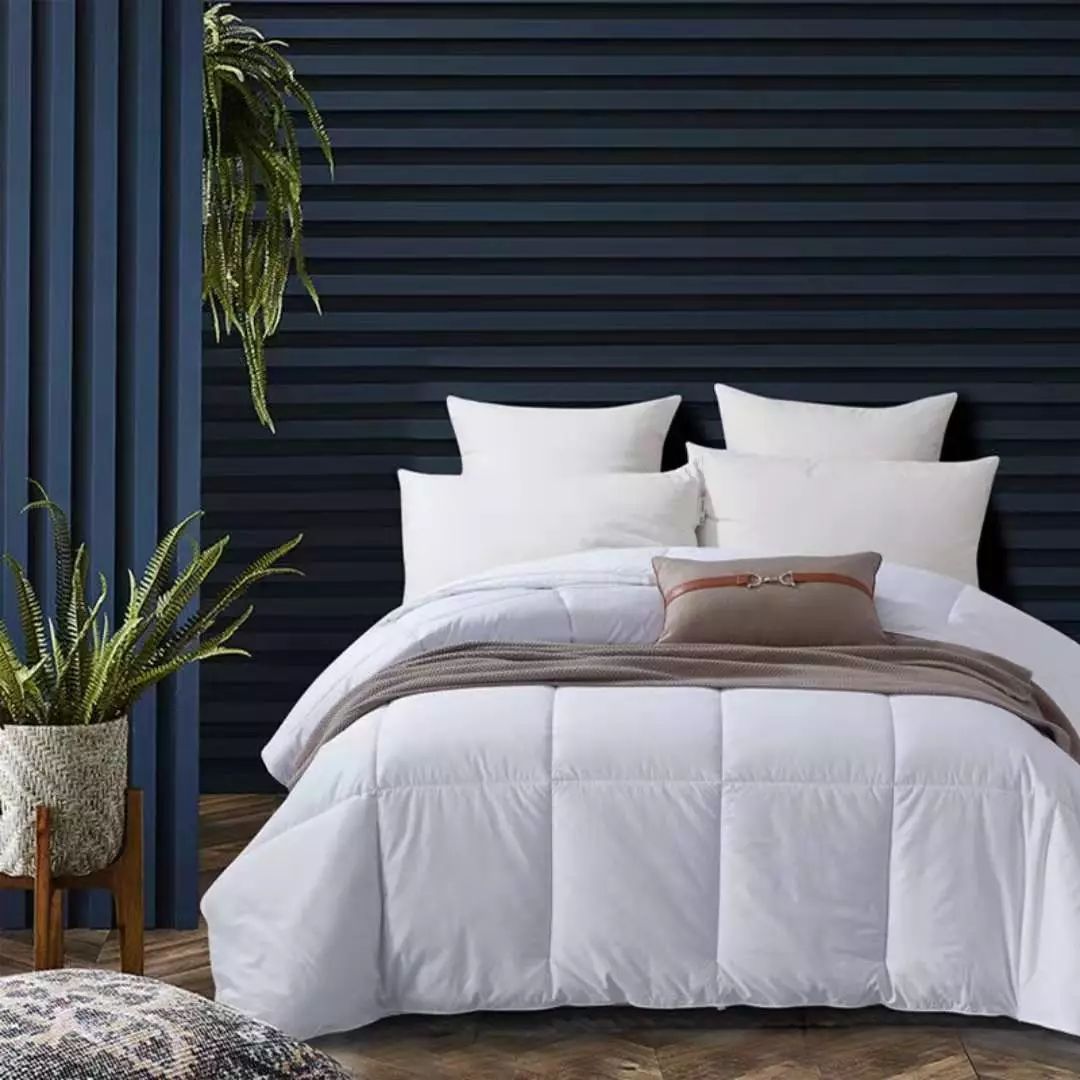 Buy物女神节｜一切优惠只为你！