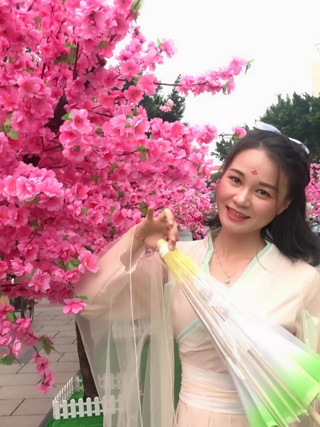 玉林网红打卡点格桑花景区,玉林打卡网红地古镇