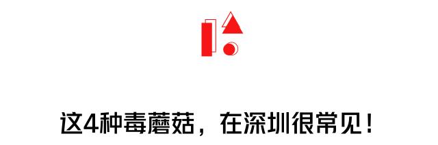 2017毒蘑菇中毒指南,广东进入毒蘑菇高发季节