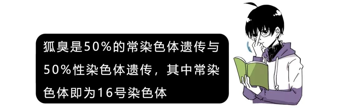 朋友有狐臭,我会不会被传染呢?