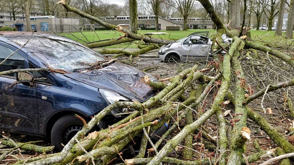 风暴南移，气候预警升至橙色，荷兰今日天气更反常，明天如何？
