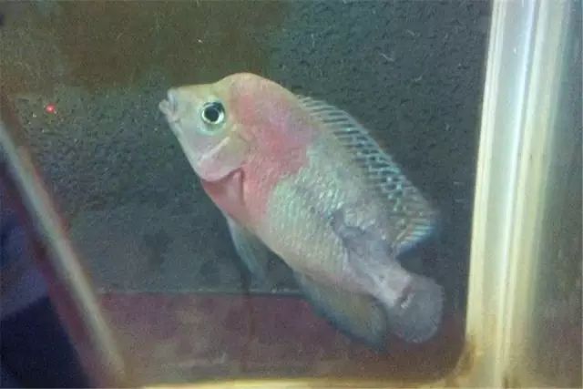 经验教训方面的收获,经验教训案例